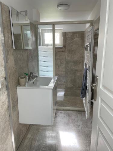 une salle de bain avec un lavabo blanc et une douche dans l'établissement Maison FAM'APA, à Vittel