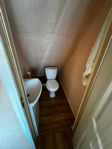 a small bathroom with a toilet and a sink at Vasaras māja Rāzna - Pirts 