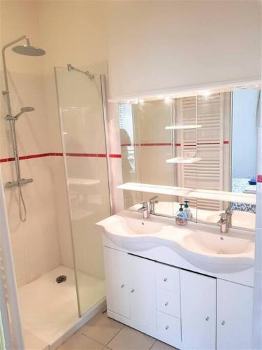 une salle de bain avec un lavabo et une douche dans l'établissement Le Cours Langlet B, à Reims