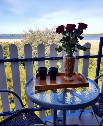 Cztery Wiatry - Dom Gościnny