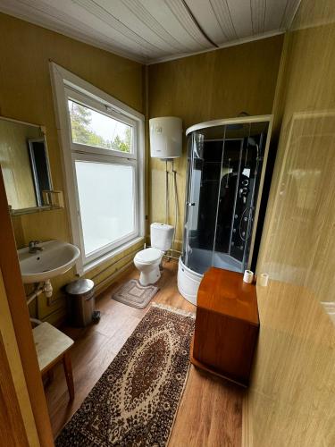a bathroom with a shower and a toilet and a sink at Vasaras mājiņa pie Rāznas ezera Nr 2 in Kaunata
