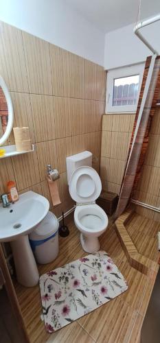 a bathroom with a toilet and a sink at La Stefi in 2 Mai