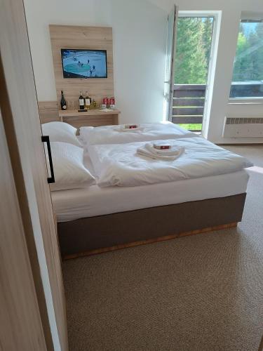 Gallery image of Hotel Bečva na Horní Bečvě in Horní Bečva