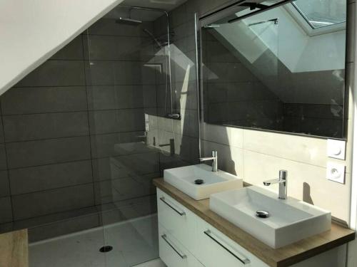 ein Bad mit einem Waschbecken, einem Spiegel und einer Dusche in der Unterkunft Le duplex de Talleyrand Hyper Centre in Reims
