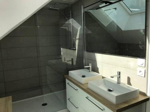une salle de bain avec un lavabo, un miroir et une douche dans l'établissement Le duplex de Talleyrand Hyper Centre, à Reims