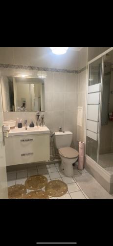 une salle de bain avec toilettes, lavabo et douche dans l'établissement Appartement jacuzzi, à Pontault-Combault