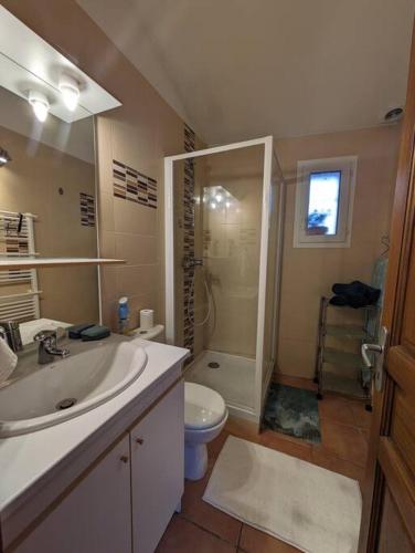 une salle de bain avec un lavabo, des toilettes et une douche dans l'établissement un cocon de briques Rose, à Rouffiac-Tolosan