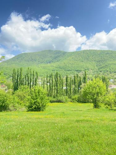 a field with trees and a mountain in the background at Şamaxı Cennetbagı Evi in Şamaxı