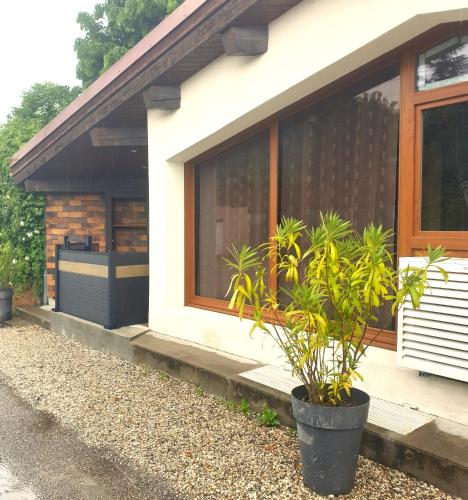 a house with a plant in front of a window at Appartement Grésival in Chapareillan