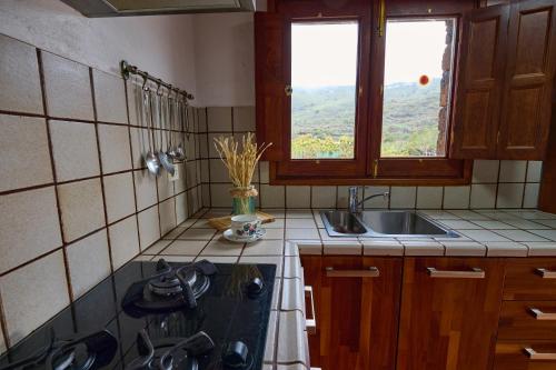 cocina con fogones, fregadero y ventana en Casa La Casamera, en Guarazoca