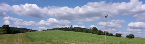 a green hill with a pole on top of it at Ferienwohnung "Haus am Weifberg" Hinterhermsdorf in Hinterhermsdorf
