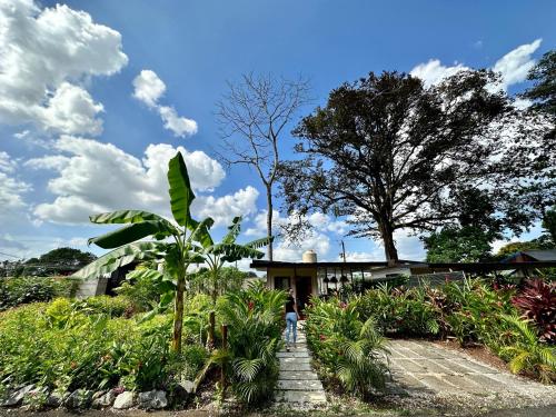 Zahrada ubytování Almendros Eco-Villas