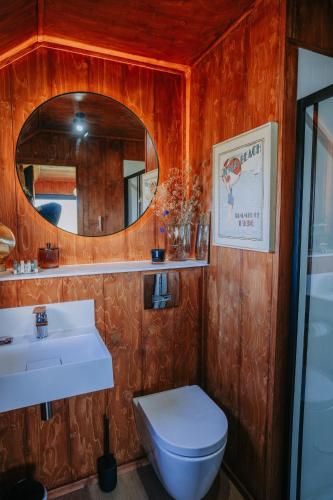a bathroom with a toilet and a sink and a mirror at ARA Cabin - Mêl in Pwllheli