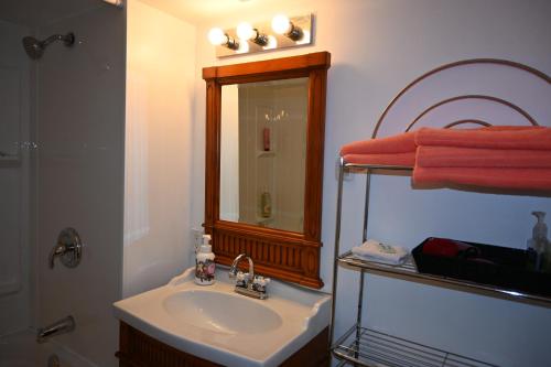 a bathroom with a sink and a mirror and a shower at Oasis Suite in Niagara Falls