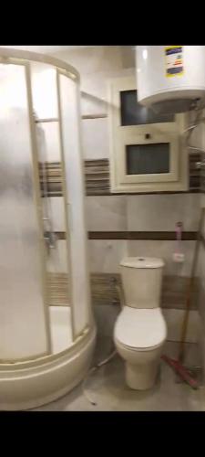 a bathroom with a toilet and a microwave at Golden House in Alexandria