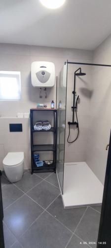 a bathroom with a shower and a toilet and a sink at Apartments EMMA in Kostrena
