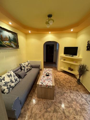 een woonkamer met een bank en een flatscreen-tv bij Muntean Residence in Sibiu