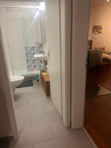 La salle de bains est pourvue de toilettes et d'un lavabo. dans l'établissement Happy, à Givisiez