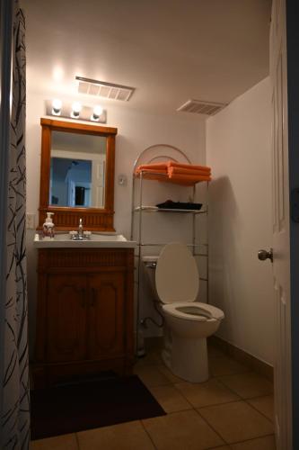 a bathroom with a toilet and a sink and a mirror at Oasis Suite in Niagara Falls