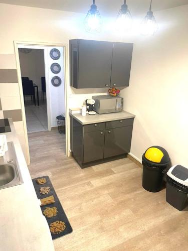 Il comprend une cuisine équipée d'un évier et d'un comptoir avec un four micro-ondes. dans l'établissement Harmonie apparte, à Blois