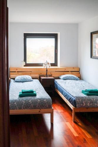two beds in a room with a window at Na Dubie in Zalewo
