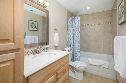 a bathroom with a sink and a toilet and a shower at Parkview Retreat in Windsor