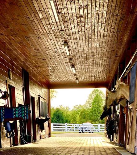 Φωτογραφία από το άλμπουμ του Chestnut Hills Farm σε Flemington