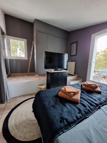 a bedroom with a large bed and a flat screen tv at Villa Sisyphe chambre"la jeanette" in Le Thoronet