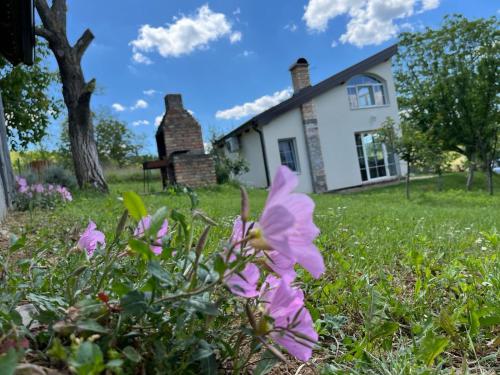 a house with pink flowers in front of it at Vikendica Smokvica in Sremski Karlovci