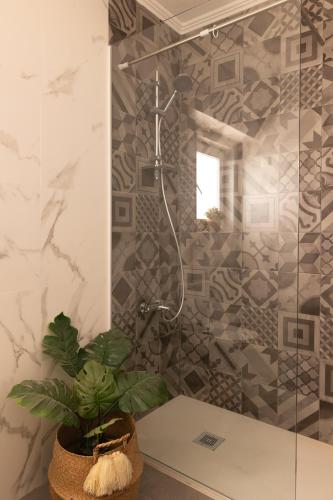 a bathroom with a shower with a plant on a counter at Elisabeth Holidays House in Costa da Caparica