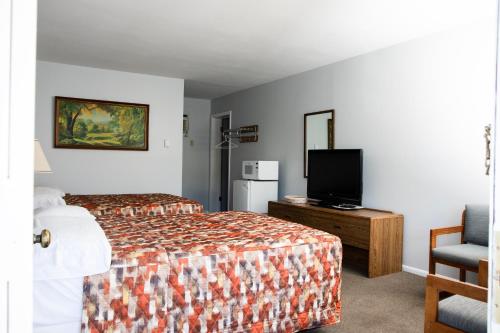 a hotel room with a bed and a tv at Starlite Motel in Wisconsin Dells