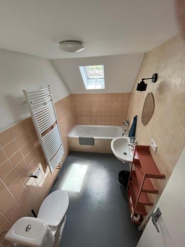 a bathroom with a toilet and a sink and a tub at Statek Losiny in Velké Losiny