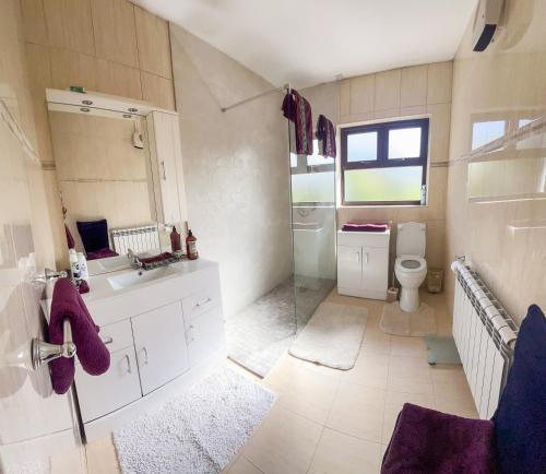 La grande salle de bains est pourvue d'un lavabo et de toilettes. dans l'établissement DOONEEN HOUSE, à Killarney