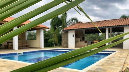- une vue sur la piscine à travers un palmier dans l'établissement Sítio São Luiz, R3: Aconchego rústico na natureza, à Quadra
