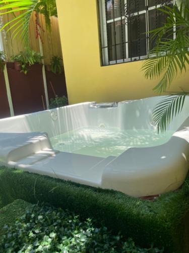 uma banheira num quarto com plantas em hermosa casa en la zona colonial em Santo Domingo