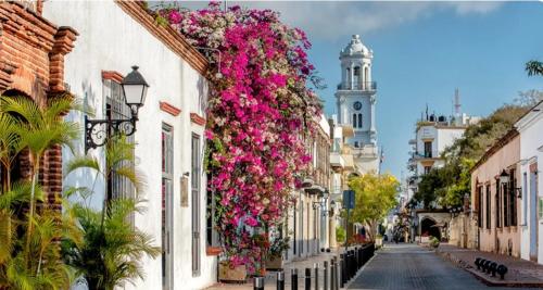 una calle con flores al lado de los edificios en hermosa casa en la zona colonial en Santo Domingo