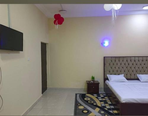 a bedroom with a bed and a flat screen tv at Sunflower Guest inn in Kano