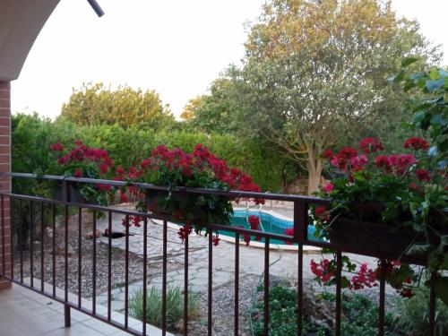 a balcony with flowers and a swimming pool at Sunny Villa in Dobrich