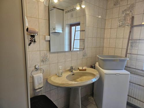 La salle de bains est pourvue d'un lavabo et d'un miroir. dans l'établissement Petit Paradis Croneuva, à Strasbourg