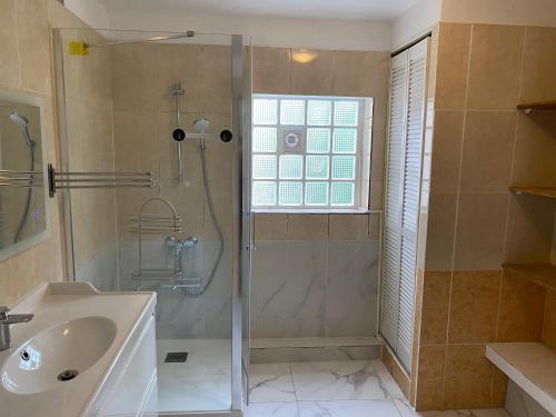 une salle de bain avec douche et lavabo dans l'établissement Grand Appartement F4 bien situé pour visiter Paris, au Bourget