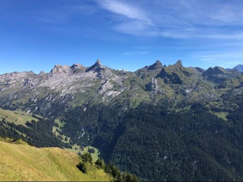 a view of a mountain range with trees in the foreground at Muota River & Industry Apartment by Nature Apartments Switzerland in Muotathal