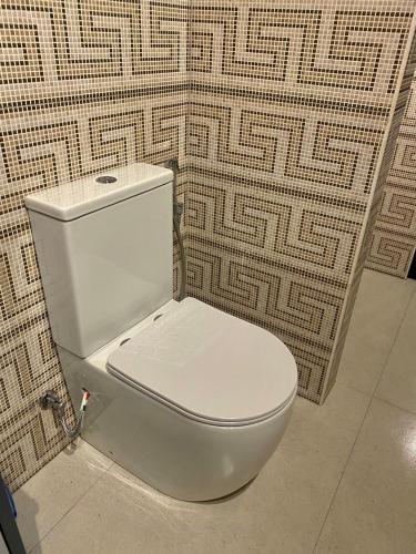 a white toilet in a bathroom with a wall at Art House Kruje in Krujë