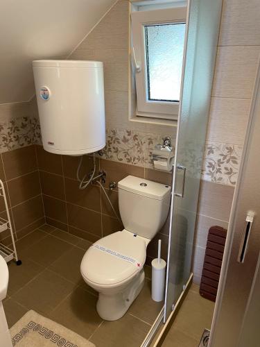 a small bathroom with a toilet and a window at Apartmani Vera in Vinci