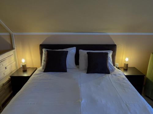 a bedroom with a large bed with two pillows at Apartmani Vera in Vinci