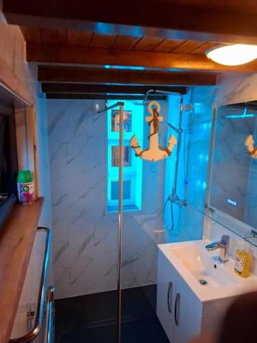a bathroom with a shower with a sink and a sink at Cosy Cornish Cabin in St Austell