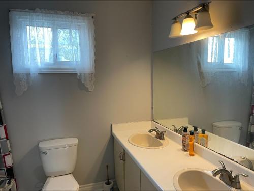 a bathroom with a toilet and a sink and a mirror at Fast internet free parking laundry and cooking nice home in Barrie