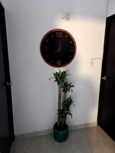 a clock on a wall next to a plant at Hotel boutique San Pablo H10 in Medellín