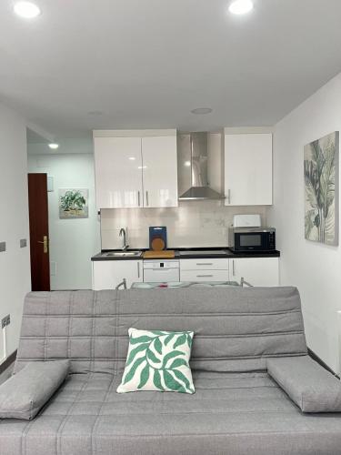 a living room with a gray couch with a pillow at Rosal Central Studios in Oviedo
