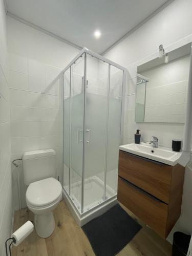 ein Bad mit einer Dusche, einem WC und einem Waschbecken in der Unterkunft Nuance de vert in Nevers