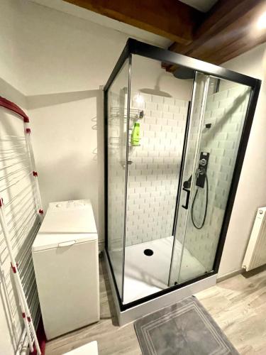 une douche avec une porte vitrée dans une salle de bain dans l'établissement Appartement La Tour, à Vesoul